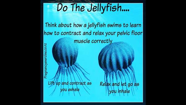 jellyfishv2.jpg