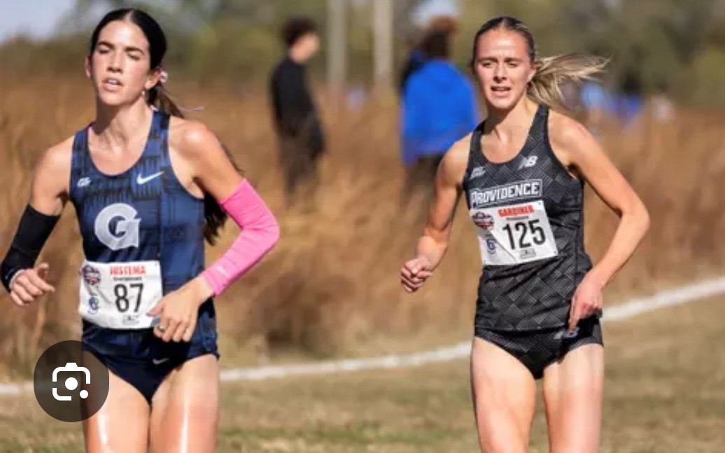 WEEKEND ROUNDUP 15TH 16TH NOV 2025